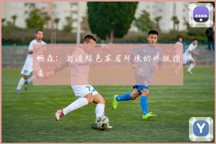畅森：打造绿色家居环境的终极指南