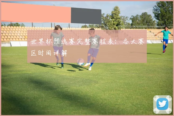 世界杯预选赛完整赛程表：各大赛区时间详解